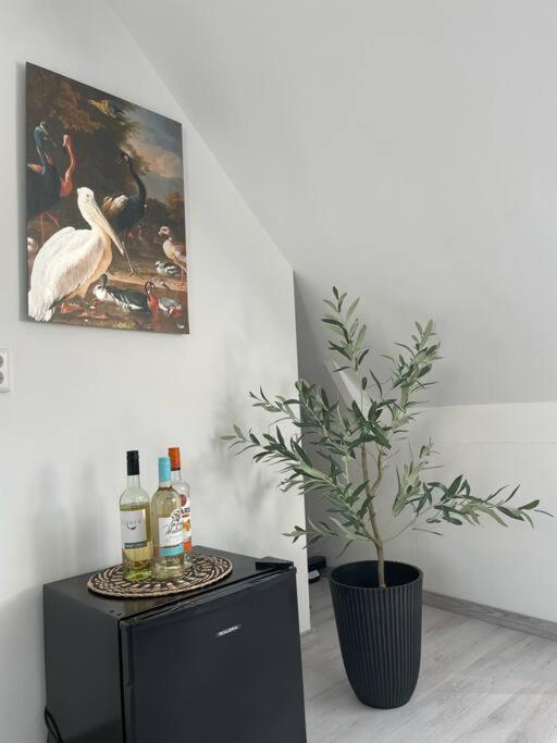 Appartement In Centrum 알크마르 외부 사진